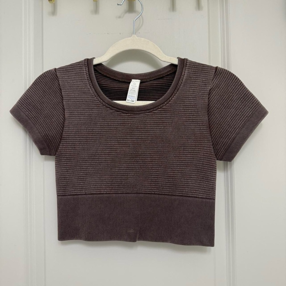Aerie Brown Ribbed Crop Top